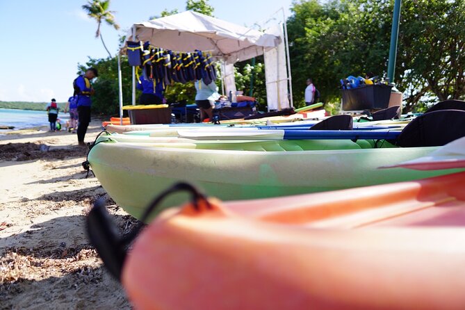 Snorkeling & Kayak Eco-Adventure in Puerto Rico - Weather reality: what happens when the sea isn’t cooperating