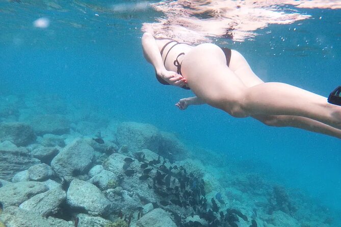 Snorkeling, Kayaking and Paddle Board Activity in Antigua - Key highlights to know before you go
