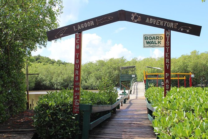 SoCoHo Eco Half Day - Mangrove Kayak & Reef Snorkeling - South Coast Horizons Mangrove Lagoon Kayak