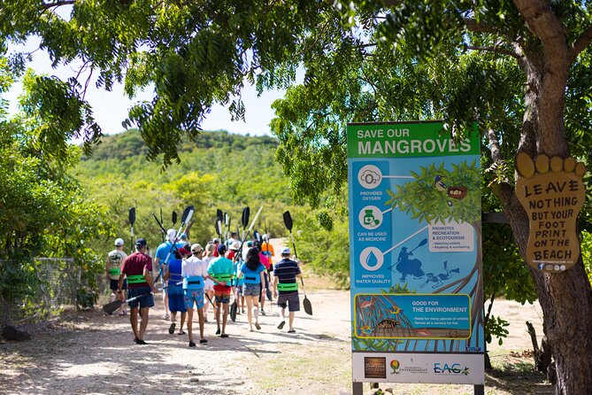 SoCoHo Eco Half Day - Mangrove Kayak & Reef Snorkeling - Beach Time, Snacks, Rum Punch, and Optional Lunch