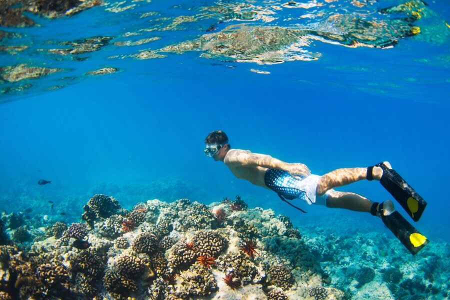 South Maui: Premium Turtle Town Kayak and Snorkel Tour - Orientation, safety, and what to expect from the guides on the water