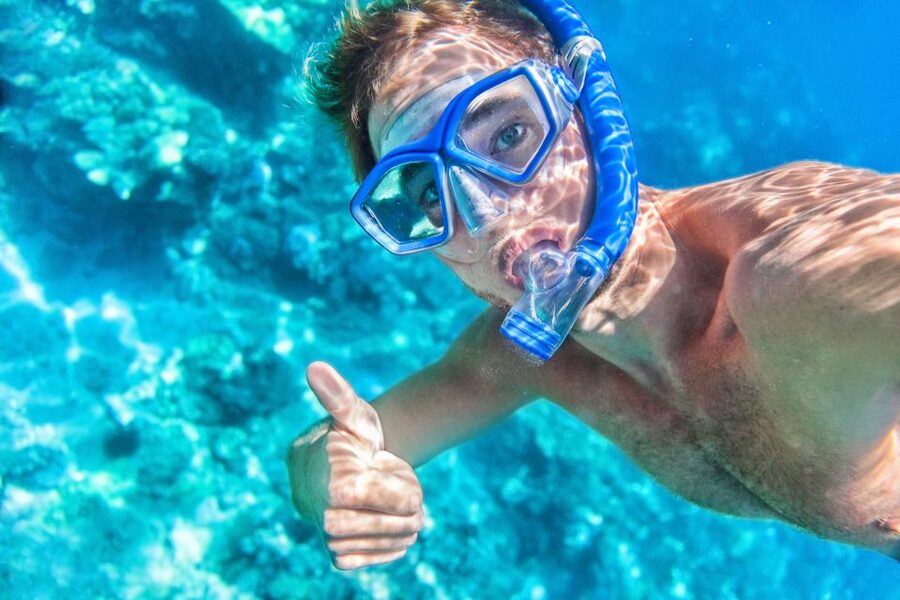 South Maui: Premium Turtle Town Kayak and Snorkel Tour - Snorkeling in Makena Bay Turtle Town: two top stops for turtles and reef fish