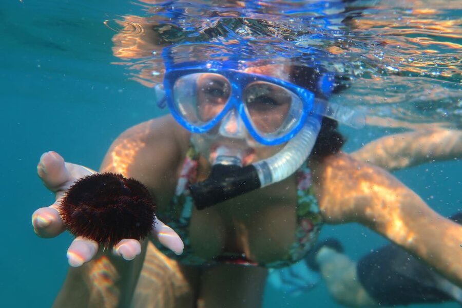 South Maui: Premium Turtle Town Kayak and Snorkel Tour - Snacks, photos, and the packing list that keeps your morning smooth