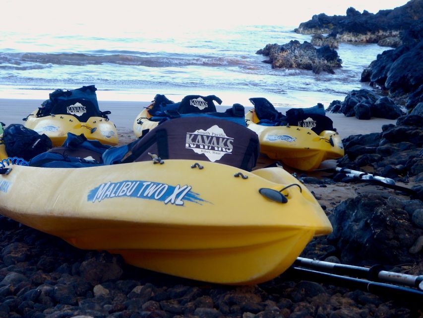 South Maui: Premium Turtle Town Kayak and Snorkel Tour - Price and value: what $151 buys in 210 minutes of real ocean time