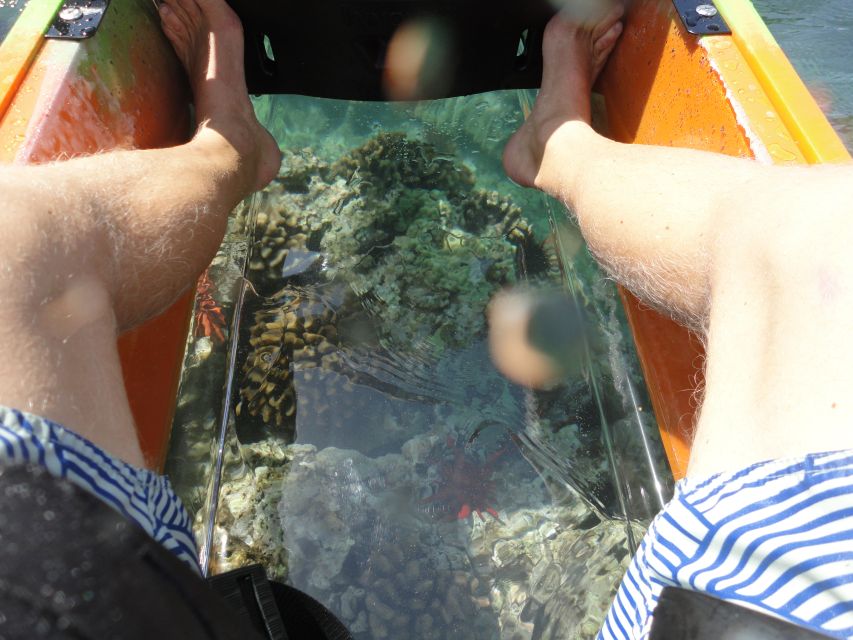 South Maui: Self Guided Clear Bottom Kayak Tour - Going where you want: how the self-guided format works in practice