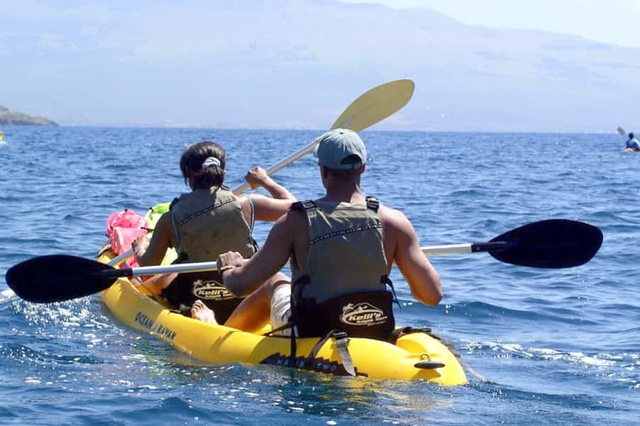 South Maui: Waterfall Tour w/ Kayak, Snorkel, and Hike - Rainforest Hike: Plants, Shade, and a Real Sense of Place