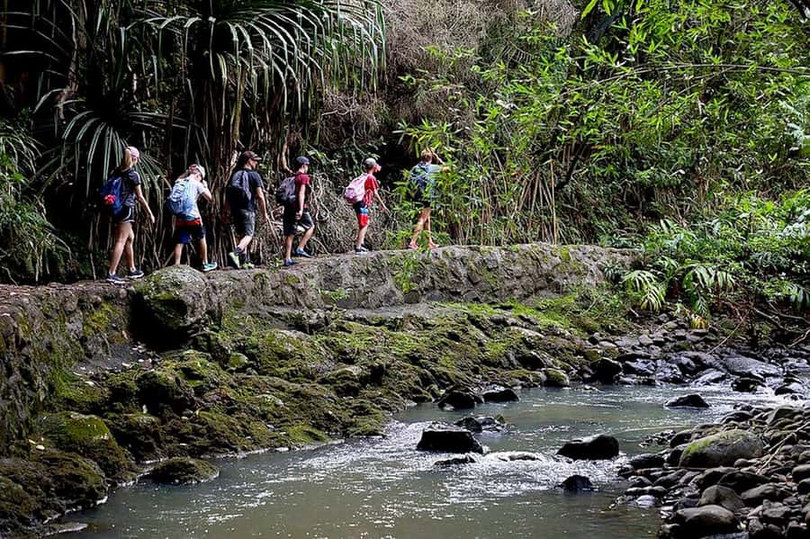 South Maui: Waterfall Tour w/ Kayak, Snorkel, and Hike - Lunch and Snacks: Keeping Your Energy Steady