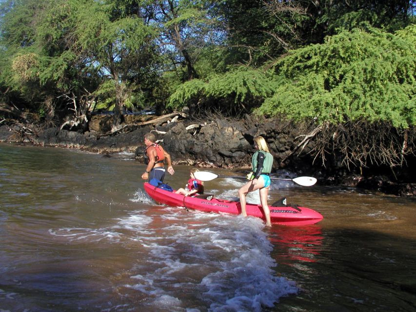 South Maui: Whale Watch Kayaking and Snorkel Tour in Kihei - The guide makes or breaks the day (and this one has strong ones)