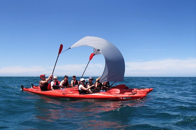 Southern Duo kayak & walk tour - Mārahau Meeting Point and a Small-Group Pace That Actually Feels Personal