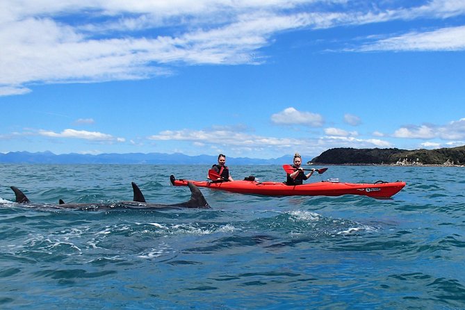 Southern Duo kayak & walk tour - How Moderately Fit Is Enough for This Tour?