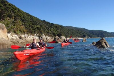 Southern Duo kayak & walk tour - Walking in Abel Tasman: Panoramic Viewpoints and Birdsong Away From Roads