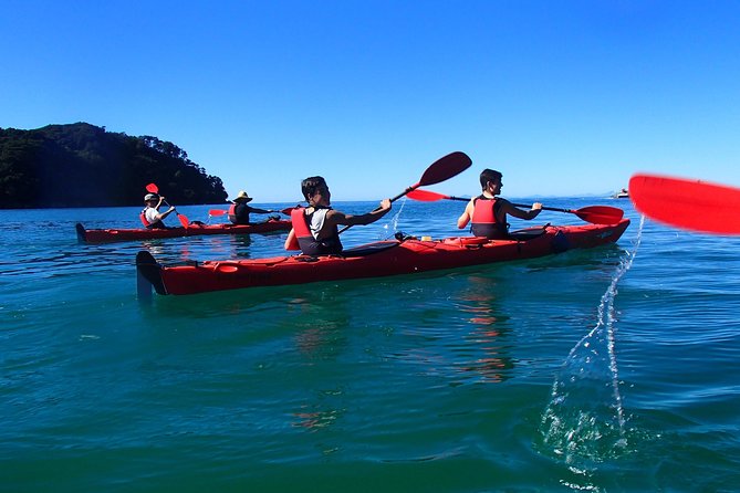 Southern Duo kayak & walk tour - What You Really Get for the Price: $117.91 and a Full Active Day
