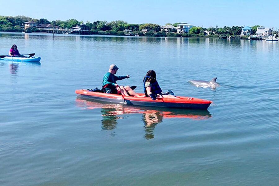 St. Augustine: Dolphin and Manatee Paddle or Kayak Tour - Key highlights to know before you go