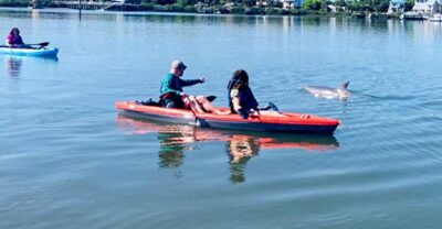 St. Augustine: Dolphin and Manatee Paddle or Kayak Tour - Paddleboard vs kayak: which feels better in real life