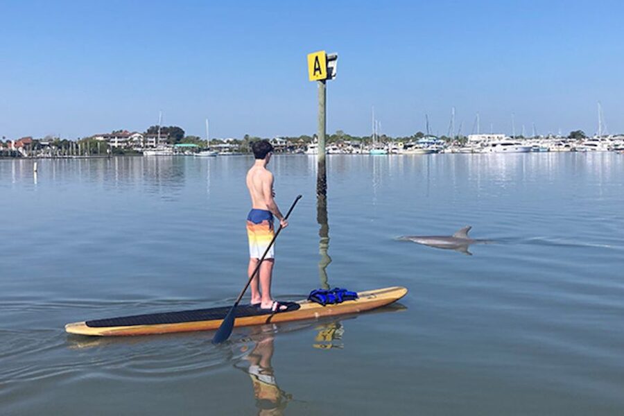 St. Augustine: Dolphin and Manatee Paddle or Kayak Tour - Price and value: is $65 worth it for a wildlife paddle?