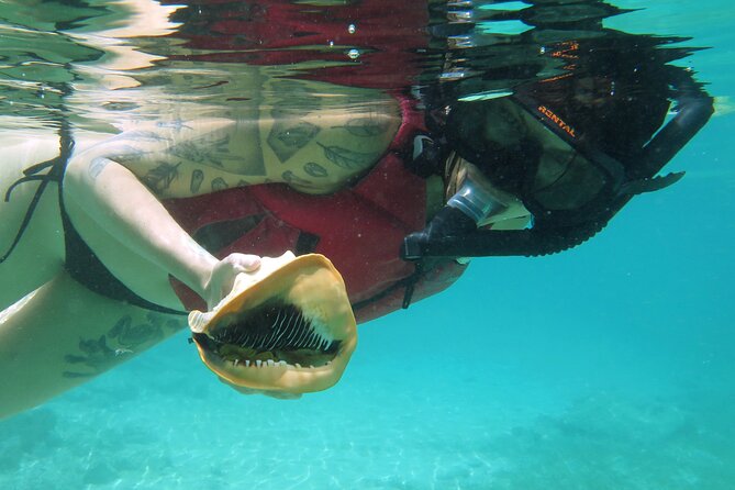 St Thomas Kayak and Sea Turtle Snorkel Excursion - Paddle to the quiet bay: kayaking coaching that helps beginners
