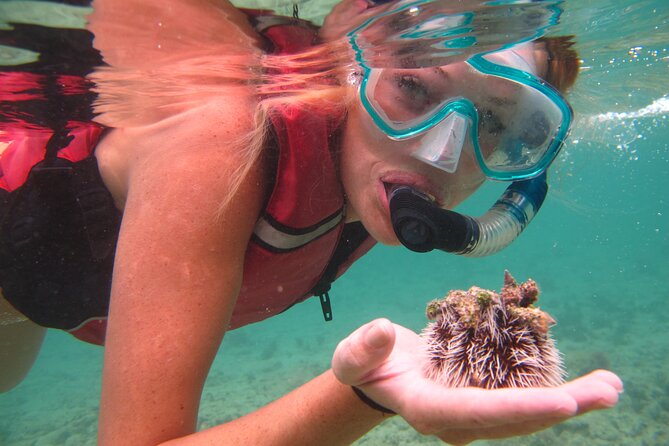 St Thomas Mangrove Lagoon Kayak and Snorkel Tour in the US Virgin Islands - Why the Mangrove Lagoon snorkel-kayak combo makes sense