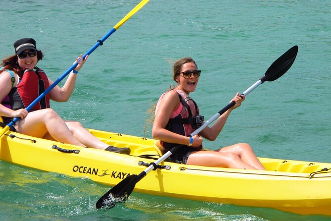 St Thomas Mangrove Lagoon Kayak and Snorkel Tour in the US Virgin Islands - Who this tour is best for in St Thomas