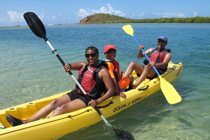 St Thomas Mangrove Lagoon Kayak and Snorkel Tour in the US Virgin Islands - Quick booking advice to avoid disappointment