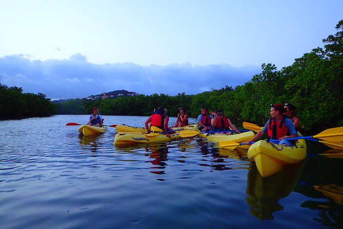 St Thomas Night Kayak Tour - Quick hits: what makes this St Thomas night kayak special