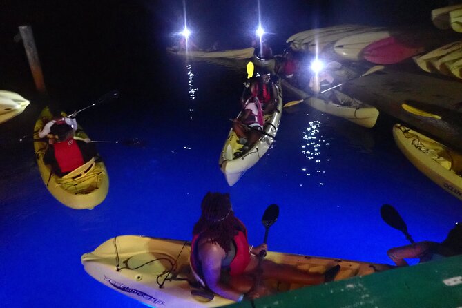 St Thomas Night Kayak Tour - Wildlife spotting at night: what you can see under the stars