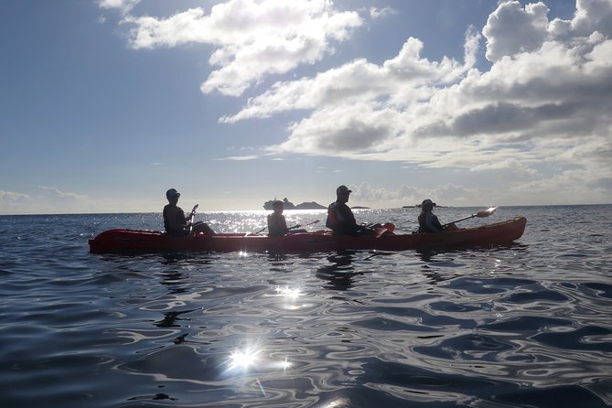 St Thomas Sea Turtle Snorkel Kayak Adventure Tour - Emerald Beach Resort Check-In: The Start That Sets Expectations
