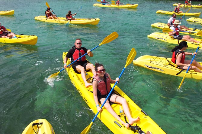 St Thomas Shore Excursion: Mangrove Lagoon Kayak and Snorkel Tour - Where the magic happens: the Mangrove Lagoon ecosystem