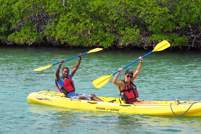 St Thomas Shore Excursion: Mangrove Lagoon Kayak and Snorkel Tour - If you choose it: the Cas Cay hike and what you’ll spot on land