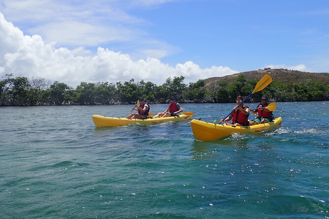 St Thomas Shore Excursion: Mangrove Lagoon Kayak and Snorkel Tour - Price and value: why $119 can make sense on a short port day