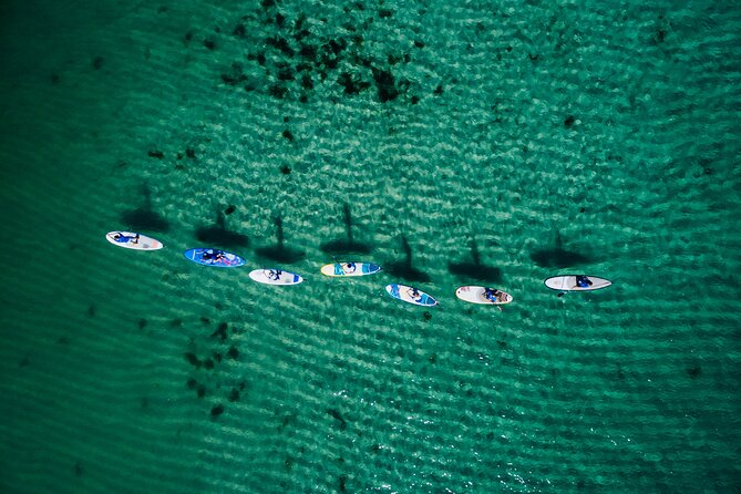 Stand Up Paddle Board Experience on Pristine Gnarabup Bay - Gnarabup Bay: Why this SUP lesson feels easy to start