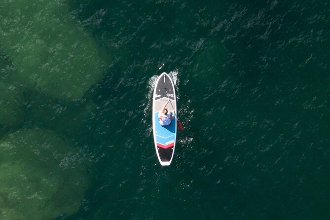 Stand Up Paddle Board Hire - 2 Hours - Manly’s North Harbour Starts at Manly Kayak Centre