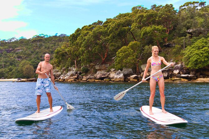 Stand Up Paddle Board Hire - 2 Hours - Price and Value: What $35.86 Buys You in Manly