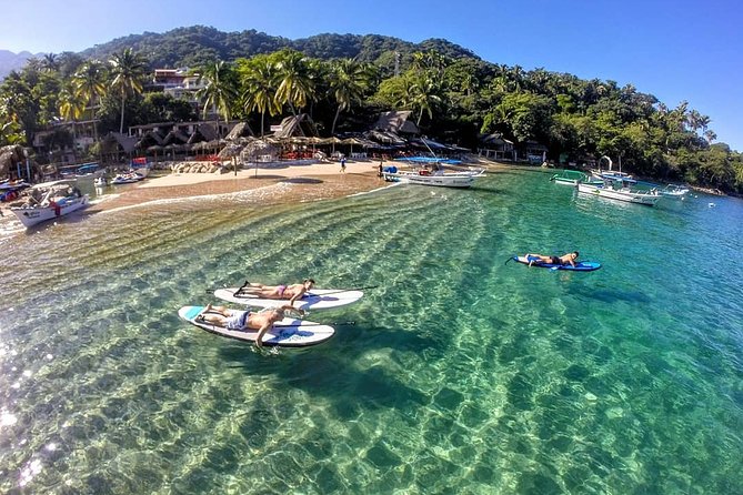 Stand-Up Paddle Board Lesson in Puerto Vallarta - Equipment and Instruction: What You’re Paying For at $56.72