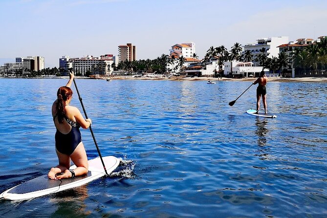 Stand Up Paddle Boarding Adventure in Puerto Vallarta - Stop 2: Puente Río Cuale and the city-river vibe