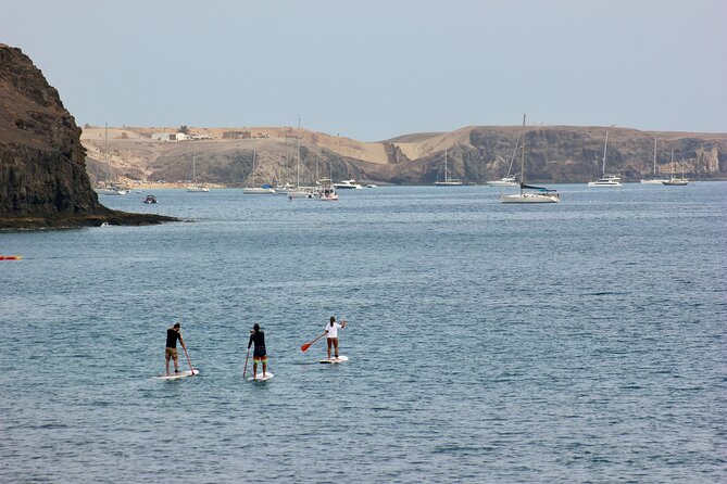 Stand Up Paddle Boarding Lesson in Playa Flamingo - Price and Value: What $66.26 (About 50€) Really Covers