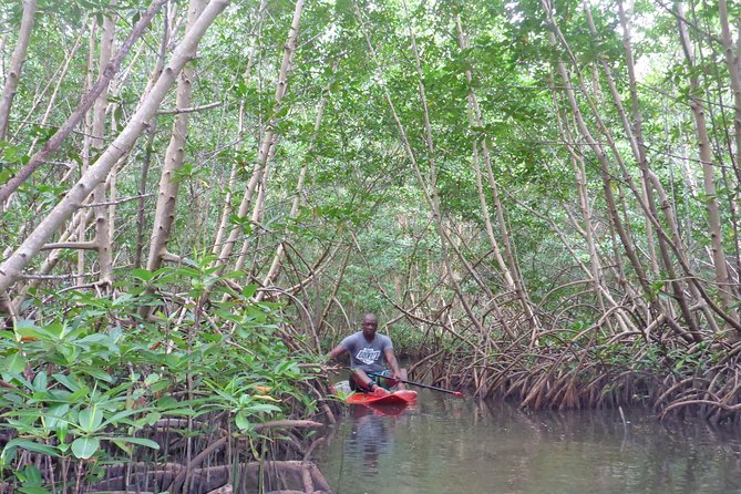 Stand up paddle in paradise - Key Highlights You’ll Feel on the Water