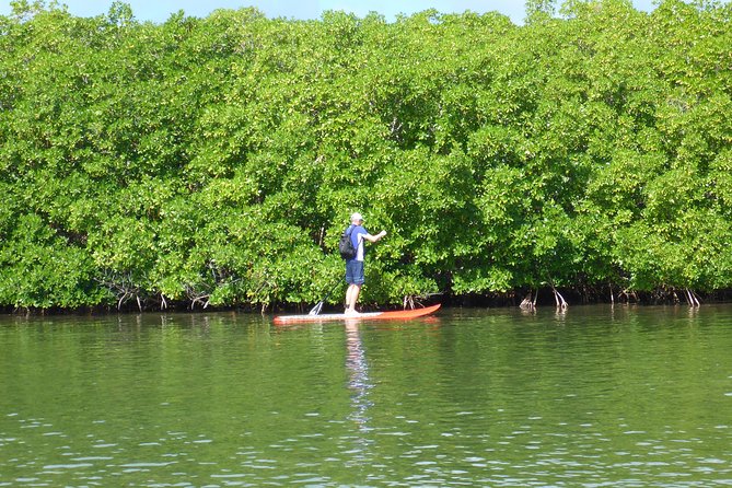 Stand up paddle in paradise - Babin Beach: where the tour mood becomes easy