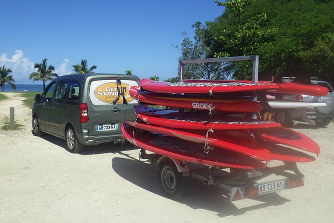 Stand up paddle in paradise - Why mangrove tunnels feel different from open-water paddling