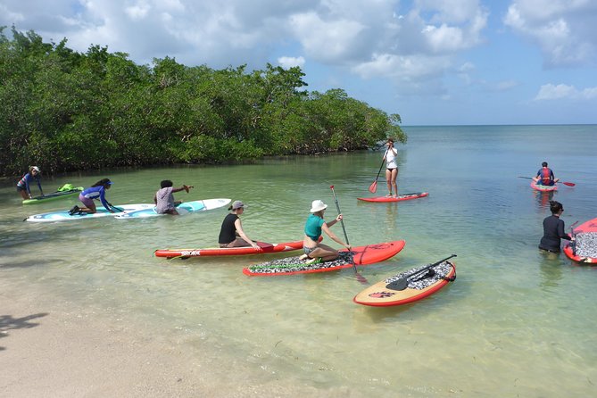 Stand up paddle in paradise - The small cove stop and homemade lemonade payoff