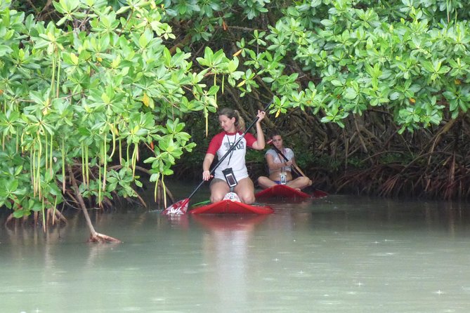 Stand up paddle in paradise - Price and what you’re really getting for $59.67