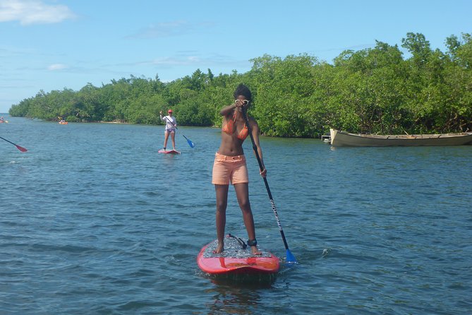Stand up paddle in paradise - Group size, instruction quality, and why it matters