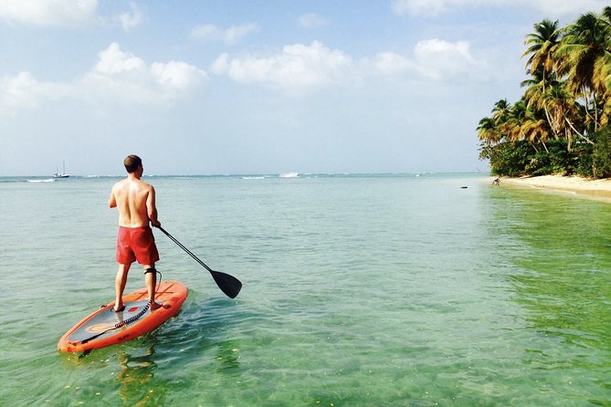 Stand Up Paddle Lessons - Key Highlights You’ll Feel Right Away