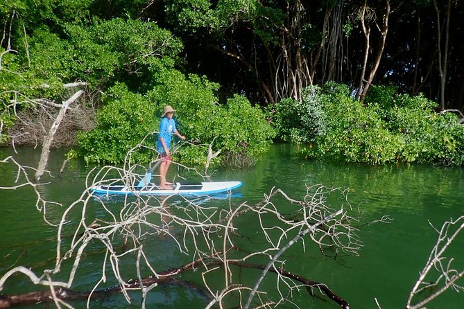 Stand Up Paddle Lessons - Pricing and value: is $61.54 worth it?