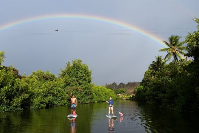Stand Up Paddle Nature and Turtle tour-Guaranteed to see turtles - Key things to know before you go