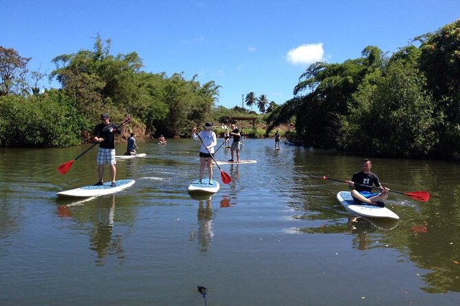 Stand Up Paddle Nature and Turtle tour-Guaranteed to see turtles - The pacing: how a 1.5-hour tour usually feels