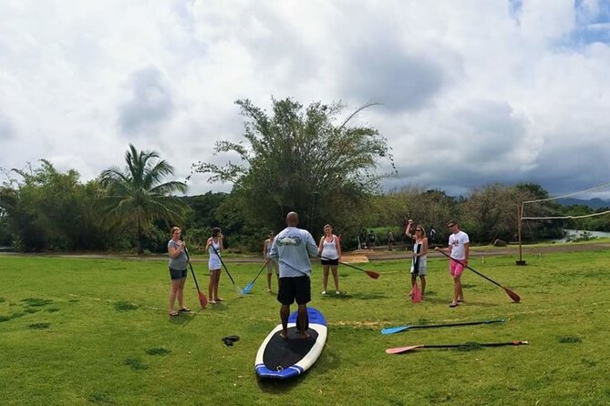 Stand Up Paddle Nature and Turtle tour-Guaranteed to see turtles - Spotting Hawaiian green sea turtles on the Anahulu route