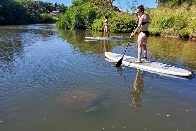 Stand Up Paddle Nature and Turtle tour-Guaranteed to see turtles - Snorkel chance: seeing what’s under the surface