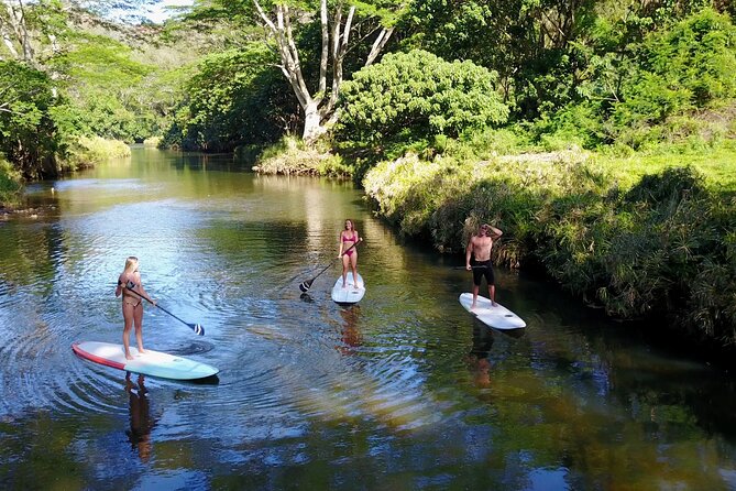 Stand Up Paddle Rental- Wailua River to Secret Falls - Picking Up at Kauai SUP: Lesson, Maps, and Car-Friendly Setup