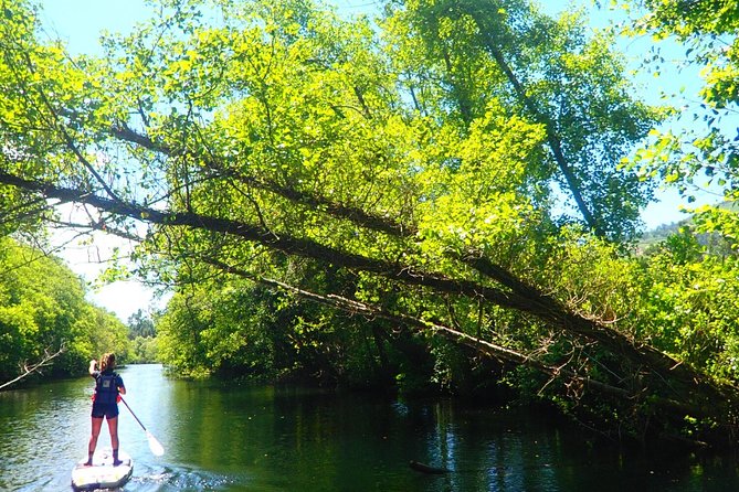 Stand Up Paddle Tour - What’s Included (and Why It’s Good Value)