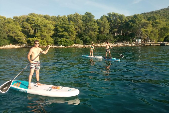 Stand Up Paddle Tour in Split - Morning vs sunset: picking the session that fits your energy